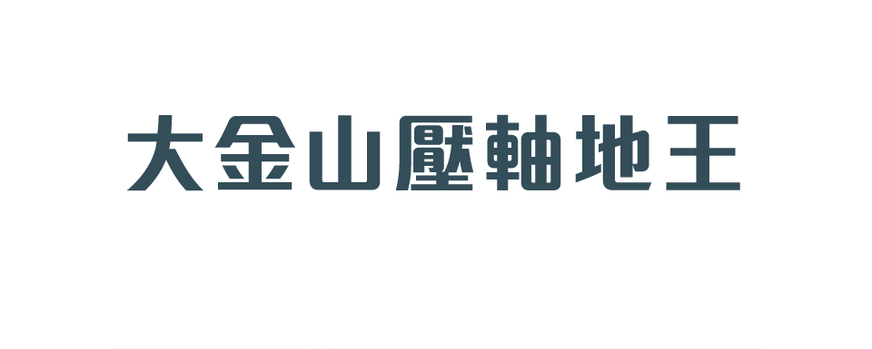 大金山壓軸地王｜合康飛揚